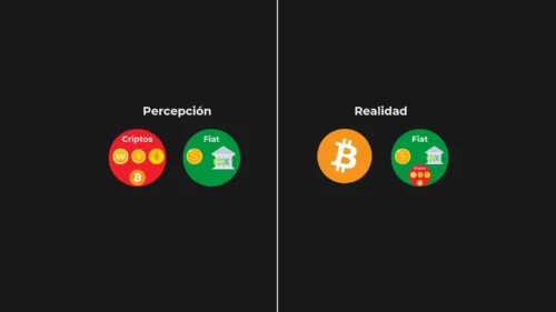Bitcoin vs criptomonedas: diferencias clave