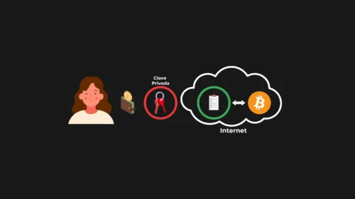 Cold Wallets en Bitcoin - Seguridad Total