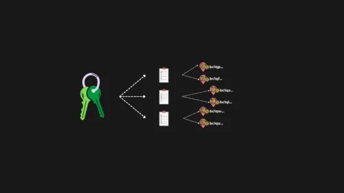 Funcion de las claves publicas de Bitcoin