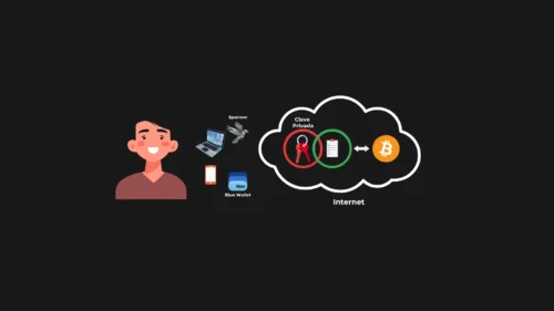 ¿Qué es una software wallet de Bitcoin?