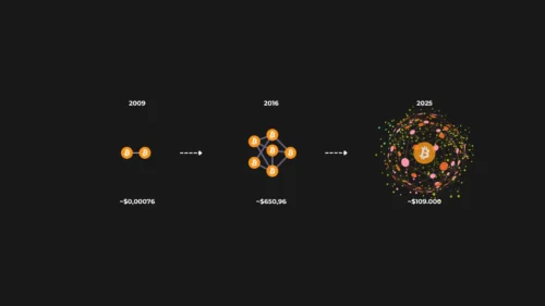 Efectos de red en Bitcoin