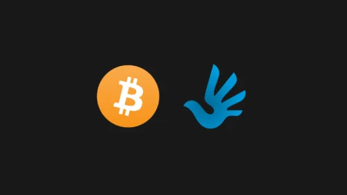 Bitcoin y Los Derechos Humanos Según Alex Gladstein
